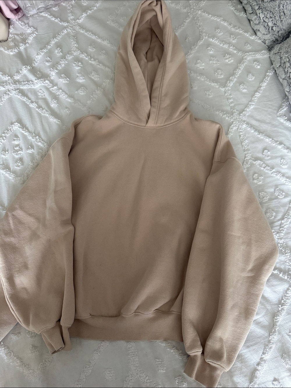 Aritzia Oversized Hooded Sweatshirt and track pants